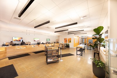 Sunnyside Cannabis Dispensary - Leicester