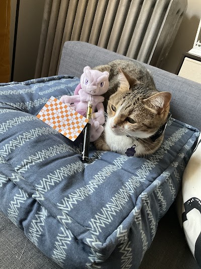 Sunnyside Cannabis Dispensary - Wrigleyville