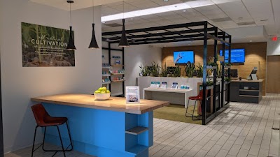 Surterra Wellness - Medical Marijuana Dispensary | Brandon