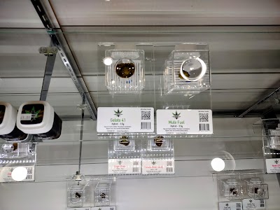 Sweet Grass Dispensary