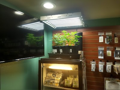 Sweet Relief Gearhart