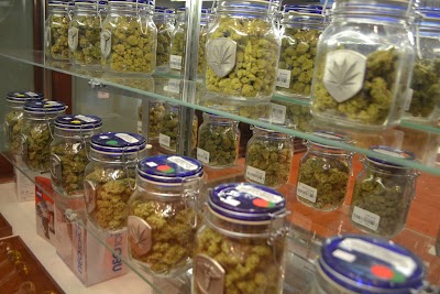 Sweet Relief Scappoose