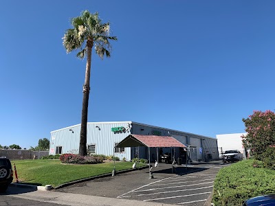 Symbiotic Sacramento