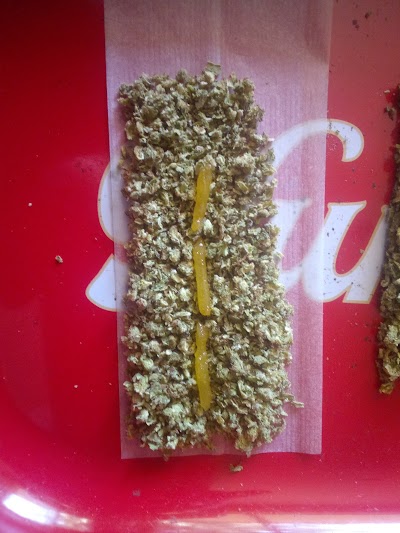 Symbiotic Sacramento