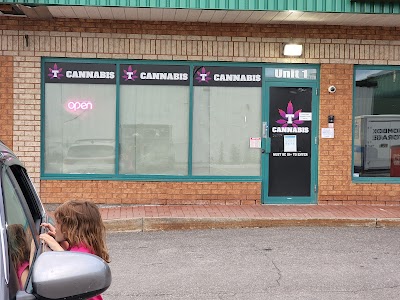 T Cannabis