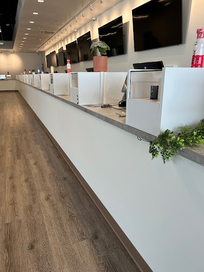 Terrace Cannabis Dispensary - Moline