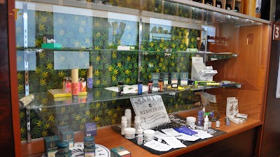 Terrapin Care Station