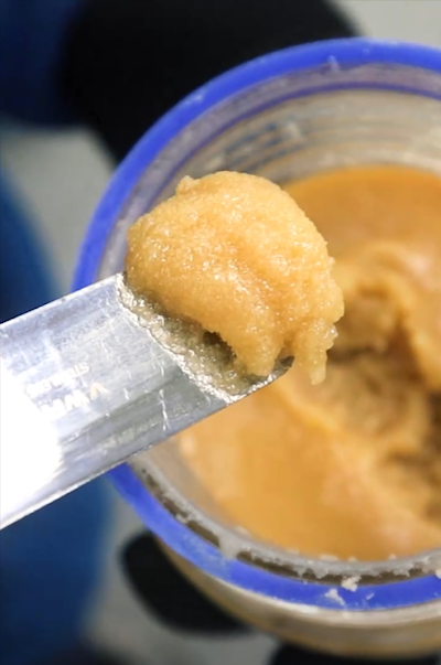 Terrapin Dispensaries