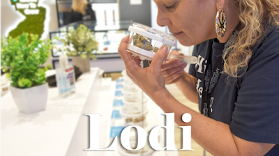 The Apothecarium Dispensary of Lodi