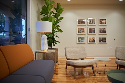 The Apothecary Shoppe