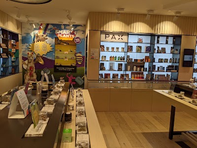 The Artist Tree Dispensary West Hollywood