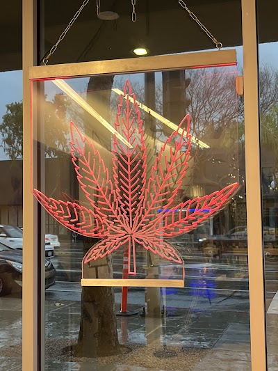 The Artist Tree Dispensary West Hollywood