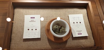 The Botanist Shrewsbury Dispensary