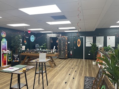 The Botanist Solon Dispensary