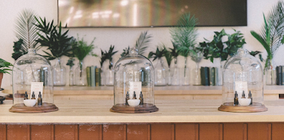 The Botanist Worcester Dispensary