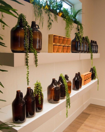 The Botanist Worcester Dispensary