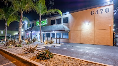 The Boulevard Dispensary