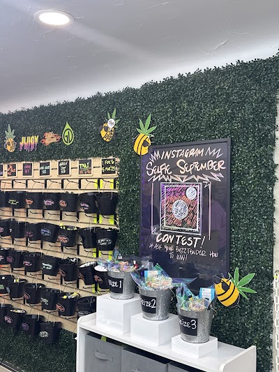 The Buzz Dispo Grand Junction