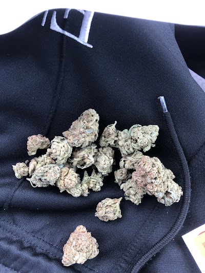 The Clinic Cannabis Co. Ann Arbor Dispensary