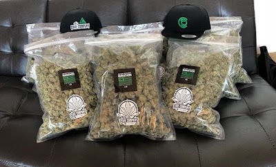 The Cure Company Cannabis Dispensary