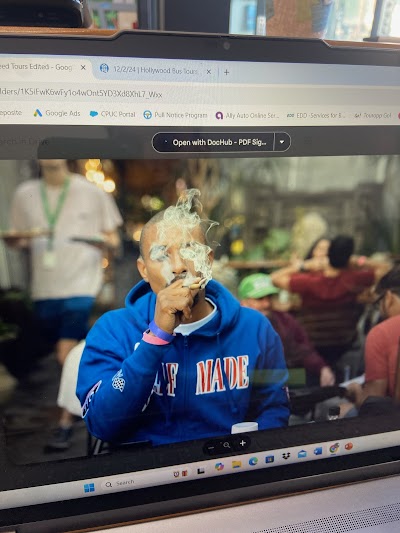 The Cure Company Melrose Dispensary