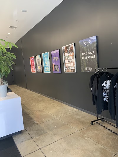 The Cure Company Melrose Dispensary