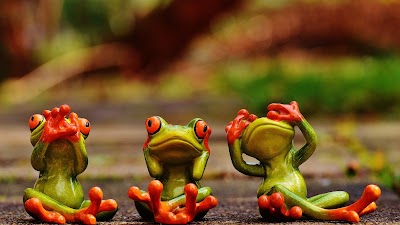 The Dispensary - Littleton