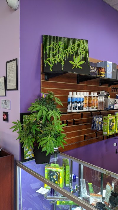 The Dispensary