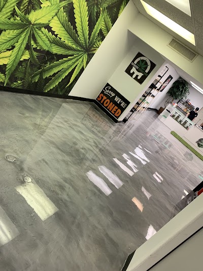 The Divine Collection