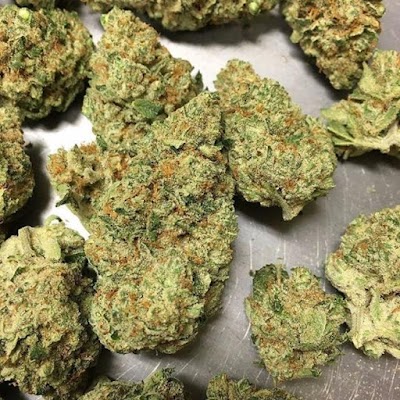 The Epic Remedy Platte