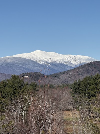 The Farm Stand (Medical)