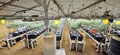 The Farm Weed Dispensary - Sussex