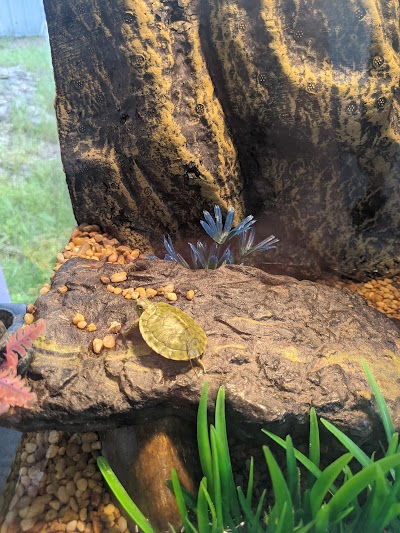 The Farmacy Dispensary