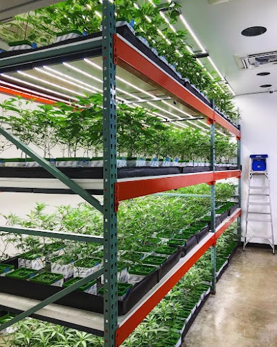 The Fireweed Factory