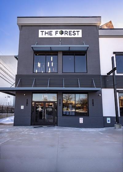The Forest Baltimore