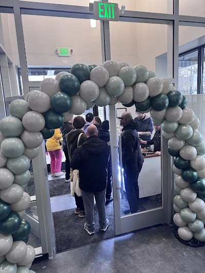 The Forest Baltimore