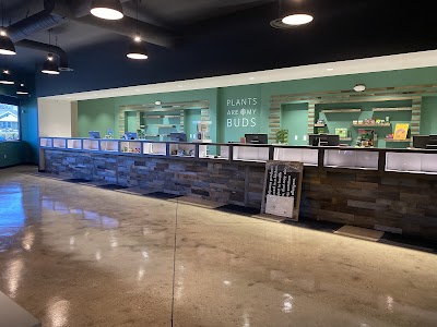 The Forest Dispensary - Springfield