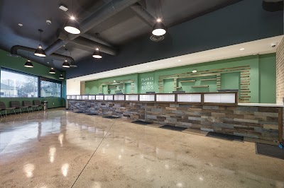 The Forest Dispensary - Springfield