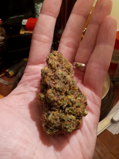 The Gas Station Dispensary (Choctaw)