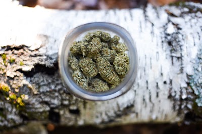 The Great Atlantic Puffin Company (Recreational)