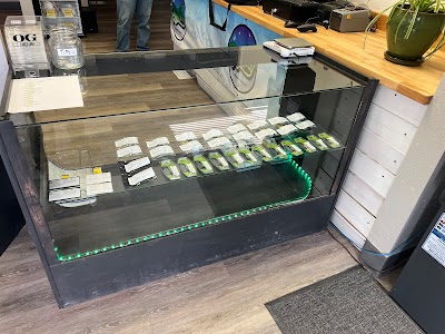 The Green Bee Lakeside