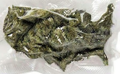 The Green Heart Collective