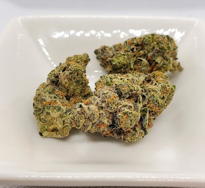 The Green Heart Collective