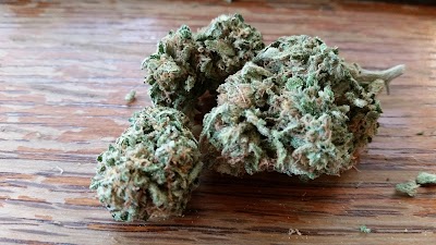 The Green Heart Collective