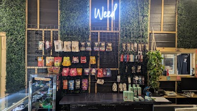 The Greenery Room Ruidoso