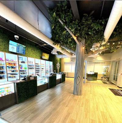 The Healing Tree Cannabis Dispensary