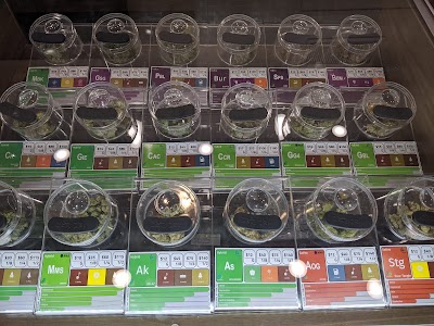 The Hill (Formerly Acanza)