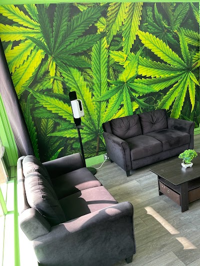 The Holistic Hub THC & CBD