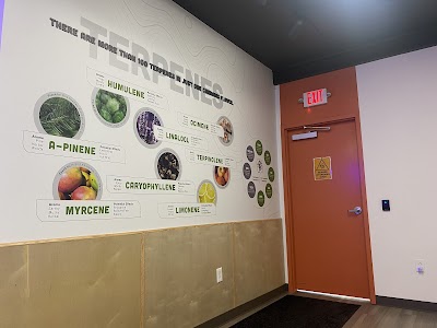 The Landing Dispensary