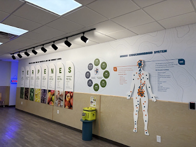 The Landing Dispensary